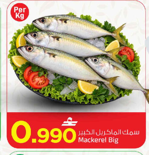 available at مارك & سايف in عُمان - مسقط‎