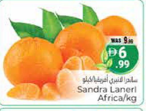 available at هايبر ماركت باسونز in الإمارات العربية المتحدة , الامارات - ٱلْعَيْن‎