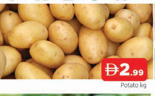 Potato available at المدينة in الإمارات العربية المتحدة , الامارات - الشارقة / عجمان