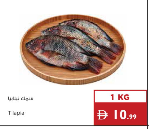 available at إسطنبول سوبرماركت in الإمارات العربية المتحدة , الامارات - ٱلْعَيْن‎