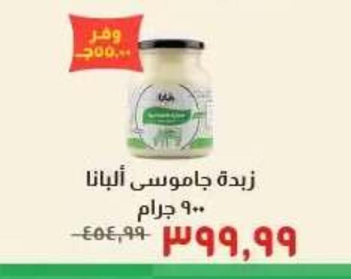available at Kheir Zaman  in Egypt - Cairo