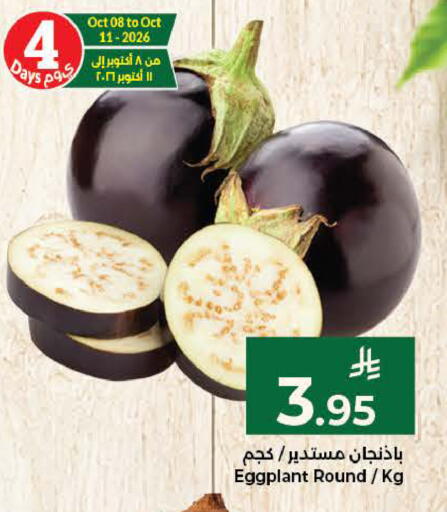 Eggplant available at كبايان هايبرماركت in مملكة العربية السعودية, السعودية, سعودية - ينبع