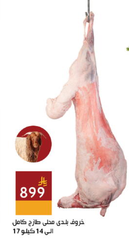 available at اسواق هلا in مملكة العربية السعودية, السعودية, سعودية - المنطقة الشرقية