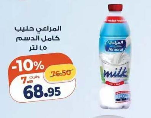 available at Kazyon  in Egypt - Cairo
