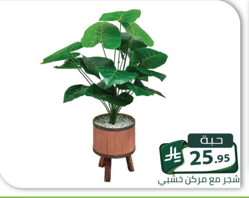 available at تخفيضات العائلة in مملكة العربية السعودية, السعودية, سعودية - الرياض