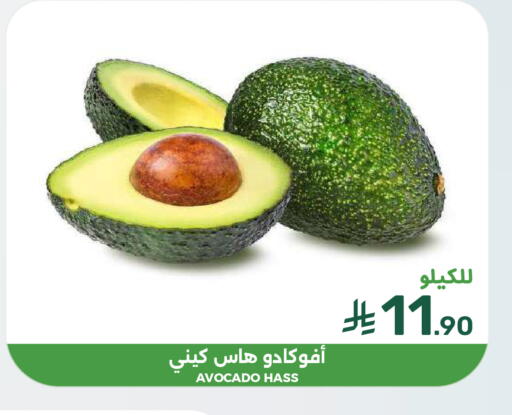 Avocado available at  مـزايــا in مملكة العربية السعودية, السعودية, سعودية - المنطقة الشرقية