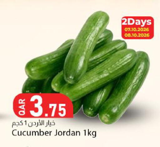 Cucumber from Jordan available at دانا ماركت in قطر - الشمال