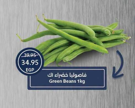 available at Oscar Grand Stores  in Egypt - Cairo