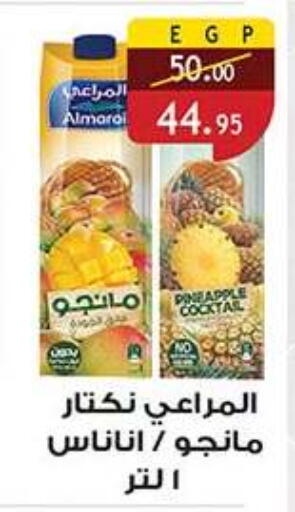 available at الرايه  ماركت in Egypt - القاهرة