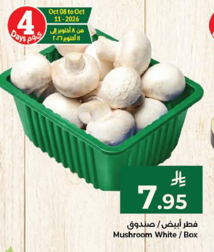 Mushroom available at كبايان هايبرماركت in مملكة العربية السعودية, السعودية, سعودية - ينبع