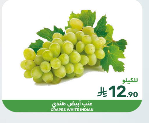 Grapes from India available at  مـزايــا in مملكة العربية السعودية, السعودية, سعودية - المنطقة الشرقية