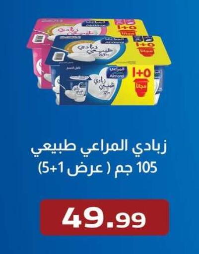 available at ابا ماركت in Egypt - القاهرة