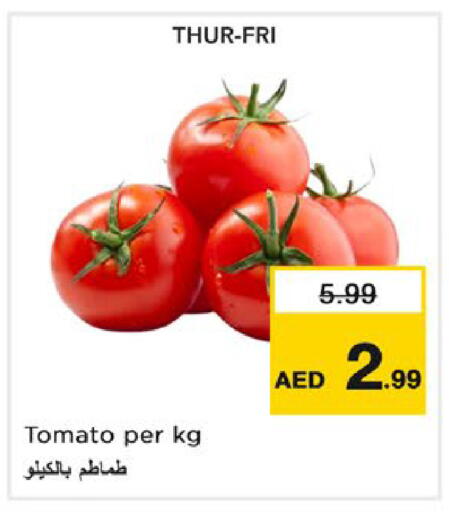 Tomato available at نستو هايبرماركت in الإمارات العربية المتحدة , الامارات - ٱلْعَيْن‎