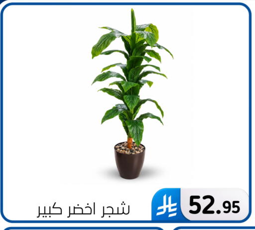 available at Al Hussain Top Up in KSA, Saudi Arabia, Saudi - Dammam