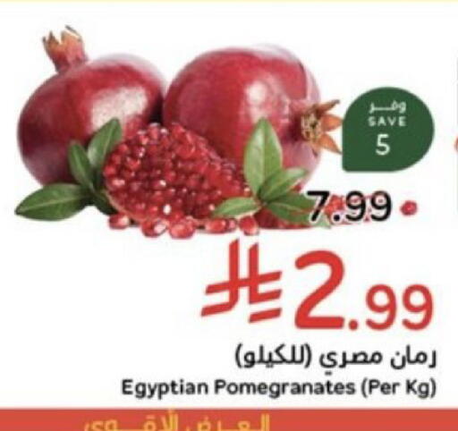 from Egypt available at Hyper Panda in KSA, Saudi Arabia, Saudi - Jeddah
