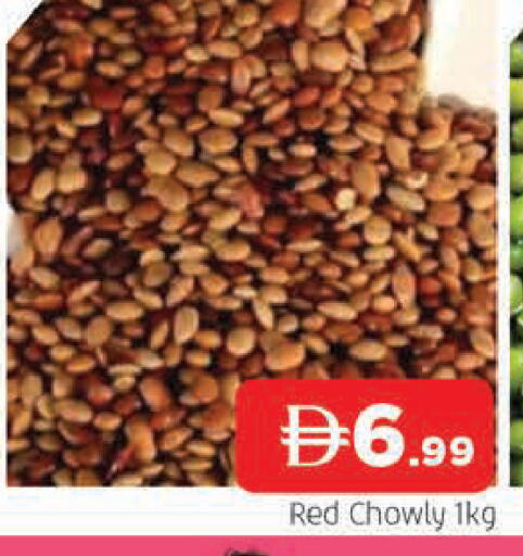 available at المدينة in الإمارات العربية المتحدة , الامارات - الشارقة / عجمان