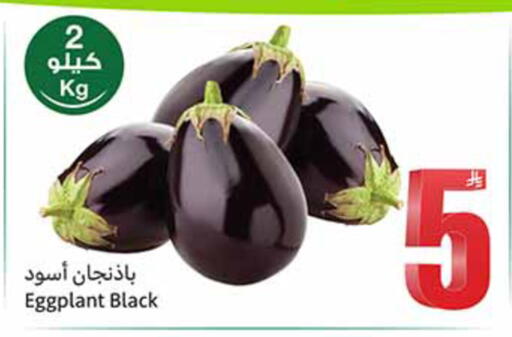 Eggplant available at أسواق عبد الله العثيم in مملكة العربية السعودية, السعودية, سعودية - الخبر‎