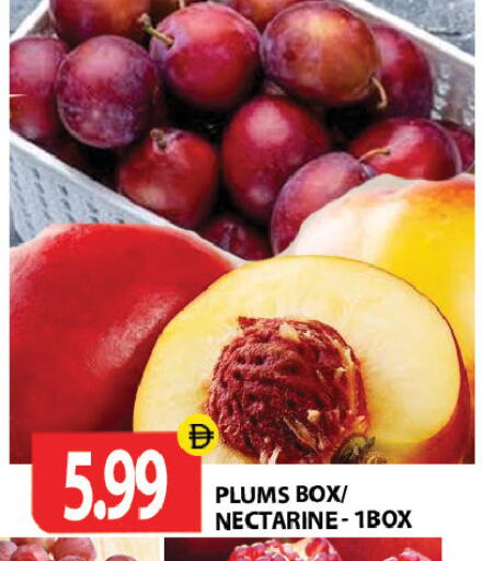 Plums Nectarine available at جلف هايبرماركت ذ.م.م in الإمارات العربية المتحدة , الامارات - رَأْس ٱلْخَيْمَة