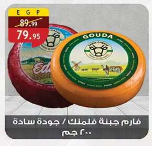 available at الرايه  ماركت in Egypt - القاهرة