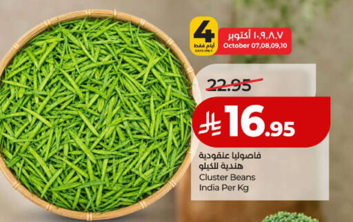 from India available at لولو هايبرماركت in مملكة العربية السعودية, السعودية, سعودية - ينبع