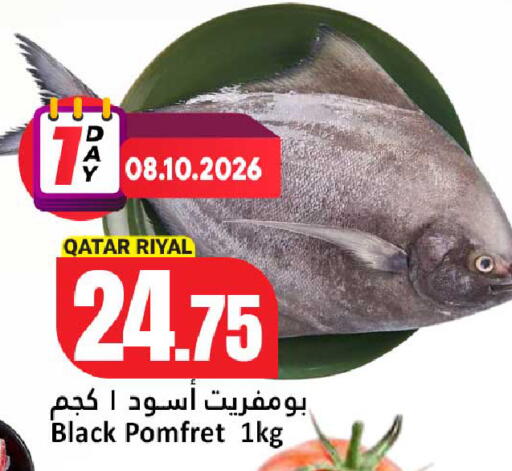 available at دانة هايبرماركت in قطر - الخور