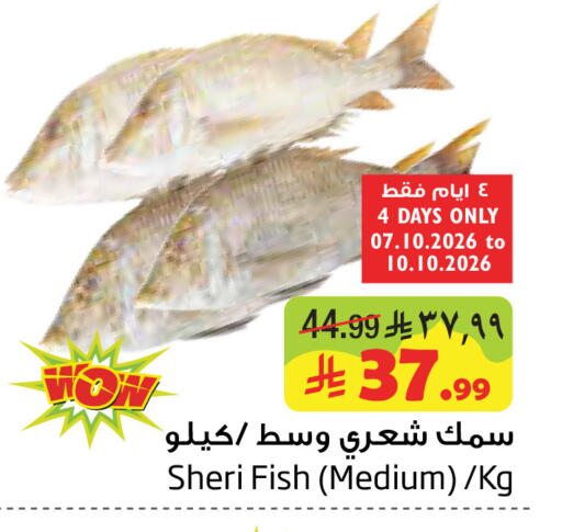 available at ليان هايبر in مملكة العربية السعودية, السعودية, سعودية - المنطقة الشرقية