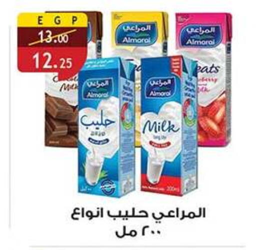 available at Al Rayah Market   in Egypt - Cairo