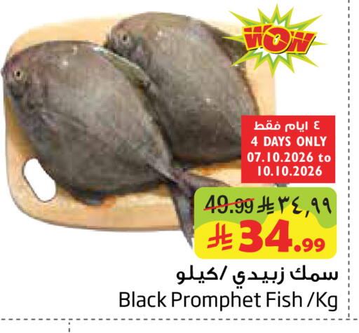 available at ليان هايبر in مملكة العربية السعودية, السعودية, سعودية - المنطقة الشرقية