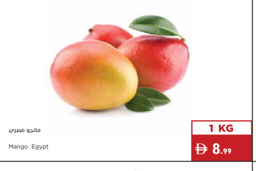 Mango from Egypt available at Istanbul Supermarket in UAE - Dubai