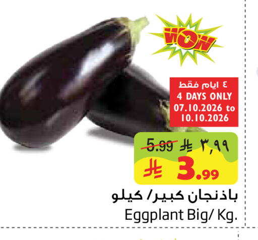 Eggplant available at ليان هايبر in مملكة العربية السعودية, السعودية, سعودية - المنطقة الشرقية