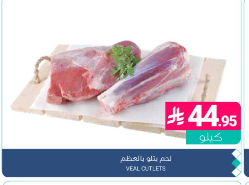 available at اسواق المنتزه in مملكة العربية السعودية, السعودية, سعودية - المنطقة الشرقية