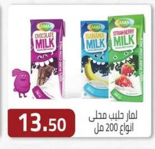 Banana Strawberry available at ABA market in Egypt - Cairo