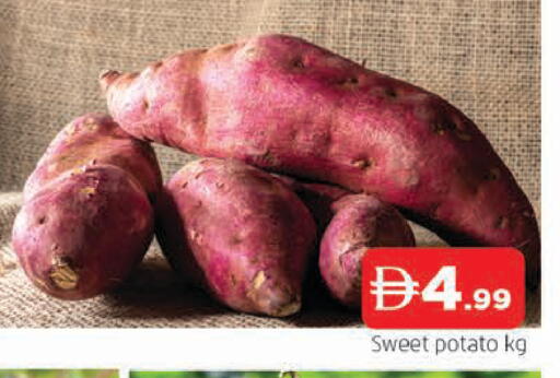 Sweet Potato available at المدينة in الإمارات العربية المتحدة , الامارات - الشارقة / عجمان