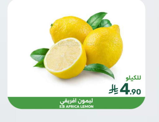 Lemon available at  مـزايــا in مملكة العربية السعودية, السعودية, سعودية - المنطقة الشرقية