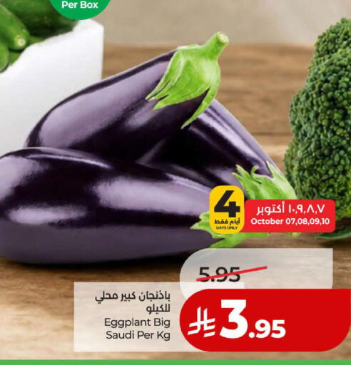Eggplant from Saudi Arabia available at لولو هايبرماركت in مملكة العربية السعودية, السعودية, سعودية - ينبع