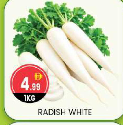 Radish available at سوق طلال in الإمارات العربية المتحدة , الامارات - أبو ظبي
