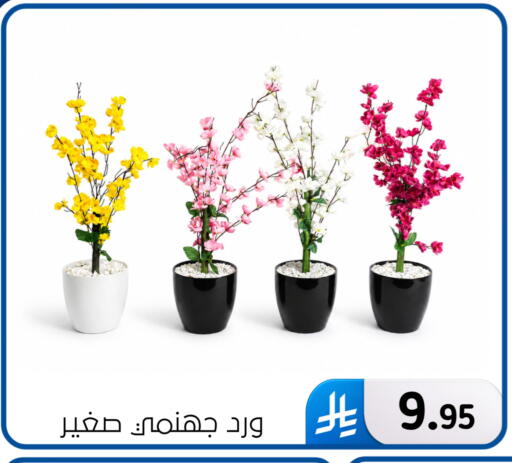 available at Al Hussain Top Up in KSA, Saudi Arabia, Saudi - Dammam