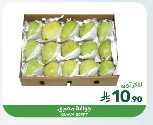 Guava from Egypt available at  مـزايــا in مملكة العربية السعودية, السعودية, سعودية - المنطقة الشرقية