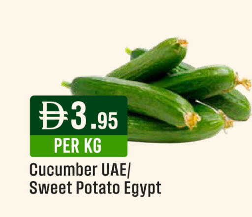 Cucumber Sweet Potato from Egypt available at West Zone Supermarket in UAE - Abu Dhabi
