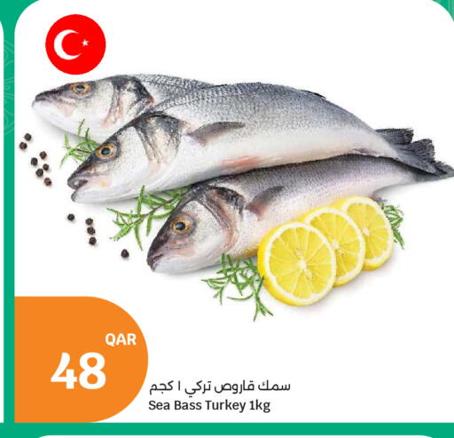available at سيتي هايبرماركت in قطر - الخور