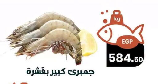 available at Arafa  in Egypt - Cairo