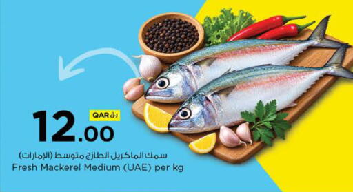available at نـسـتـو in قطر - الدوحة