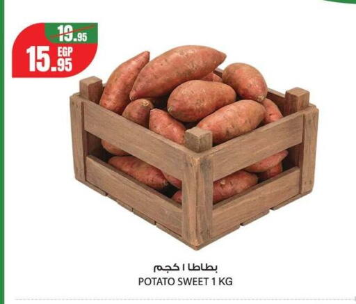 Potato from Egypt available at Géant Egypt in Egypt - Cairo