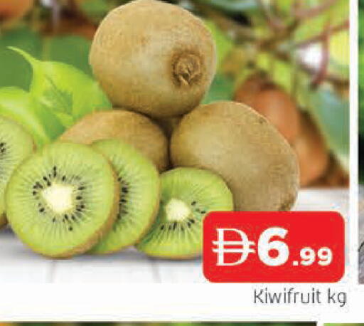 available at المدينة in الإمارات العربية المتحدة , الامارات - الشارقة / عجمان