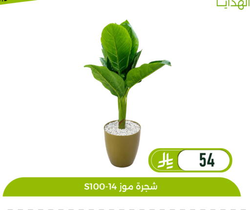 available at تخفيضات العائلة in مملكة العربية السعودية, السعودية, سعودية - المنطقة الشرقية