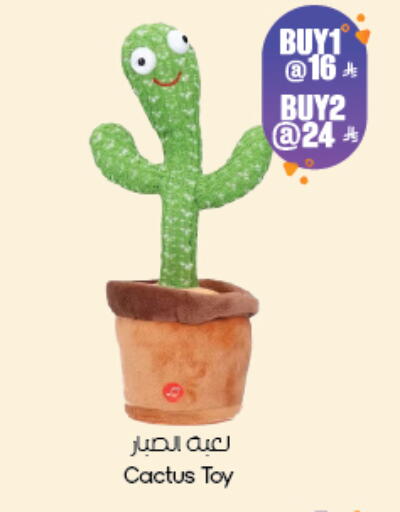 available at ستي فلاور in مملكة العربية السعودية, السعودية, سعودية - ينبع