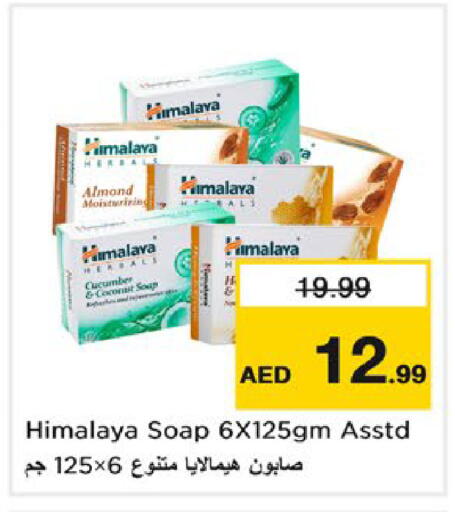 Coconut Cucumber available at نستو هايبرماركت in الإمارات العربية المتحدة , الامارات - ٱلْعَيْن‎