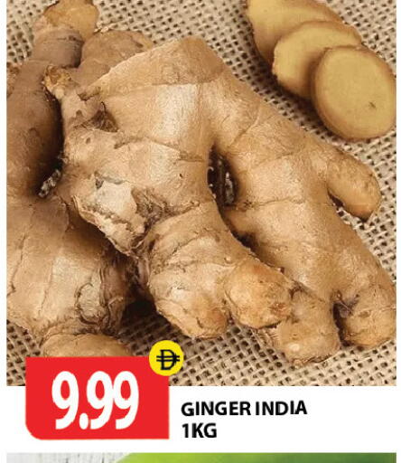 Ginger from India available at جلف هايبرماركت ذ.م.م in الإمارات العربية المتحدة , الامارات - رَأْس ٱلْخَيْمَة