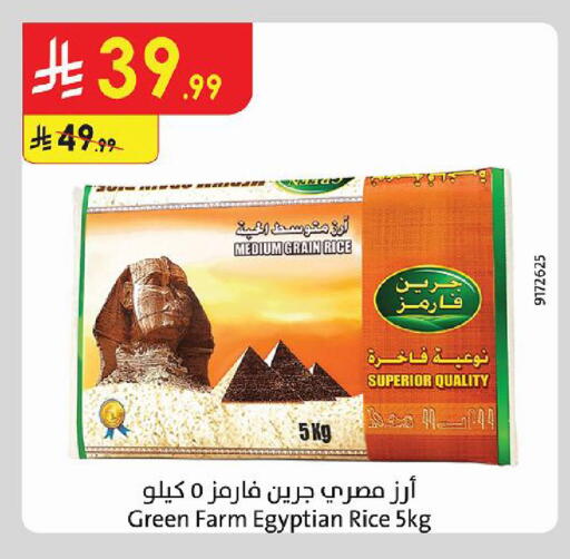 available at Danube in KSA, Saudi Arabia, Saudi - Tabuk