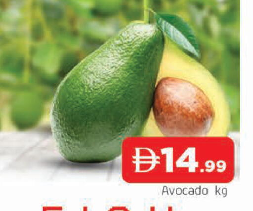 Avocado available at المدينة in الإمارات العربية المتحدة , الامارات - الشارقة / عجمان